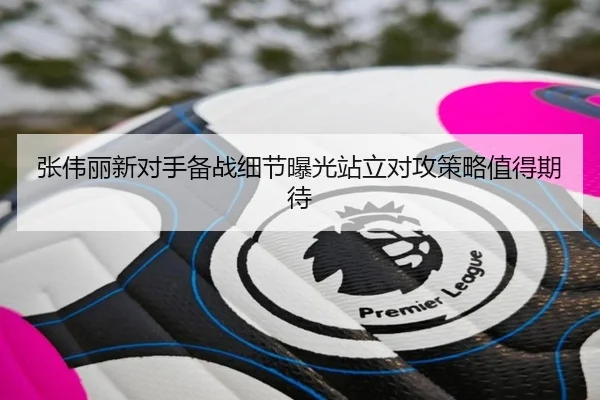张伟丽新对手备战细节曝光站立对攻策略值得期待 | WANMEISPORTS
